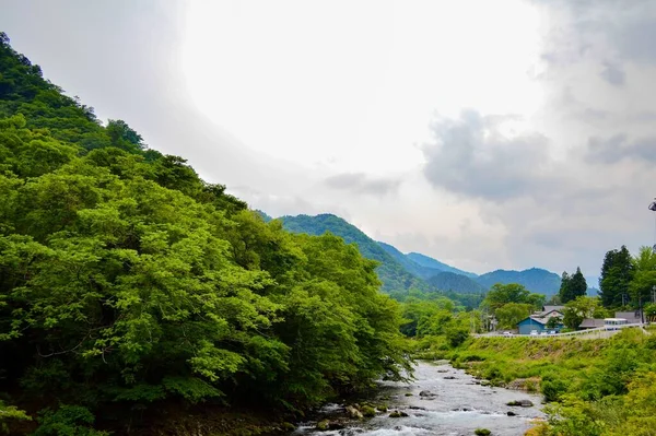 東京の美しい風景 緑豊かな木々と曇りの日に狭い川がある日本 — ストック写真