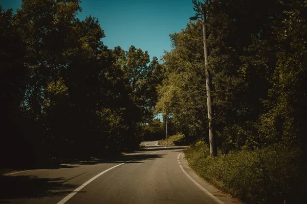 Uma Vista Panorâmica Uma Estrada Asfalto Vazia Entre Árvores Verdes — Fotografia de Stock