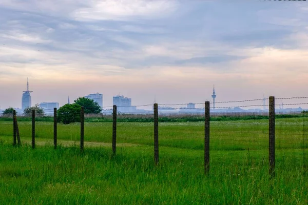 Ein Wunderschönes Immergrünes Feld Mit Einem Zaun Der Mitte Gegen — Stockfoto