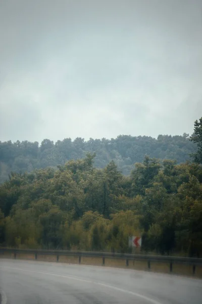 나무들 사이로 구불구불 아스팔트 도로의 — 스톡 사진