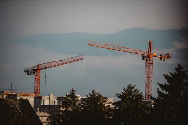 Şantiye Vinci Gün Batımında Ağaçlarla Çevrili Başka Bir Vinçle Gökyüzünde — Stok fotoğraf