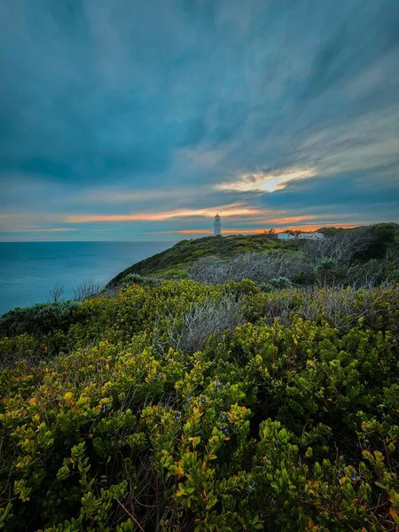 Bulutların Arkasına Gizlenmiş Güzel Günbatımı Olan Bitkiler — Stok fotoğraf