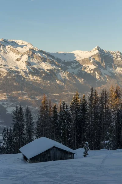 Tiro Vertical Espetáculo Nevado Nos Alpes Franceses — Fotografia de Stock