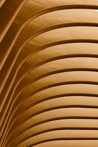 Вертикальный Снимок Параметрических Идей Архитектуры — стоковое фото