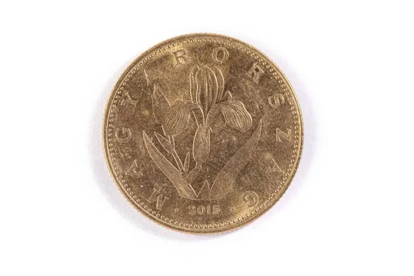 Węgierska Moneta Forint Odizolowana Białym Tle — Zdjęcie stockowe