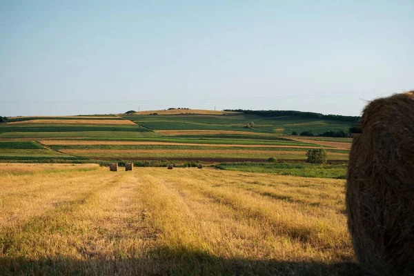Ein Malerischer Blick Auf Gemähte Felder Und Strohballen Nach Der — Stockfoto
