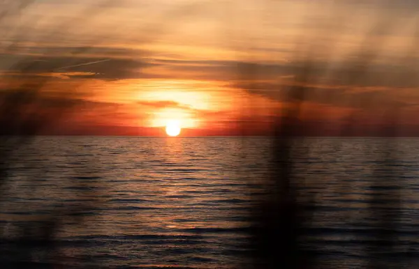 Яркое Золотистое Небо Заката Над Берегом Моря Тростником Литве — стоковое фото