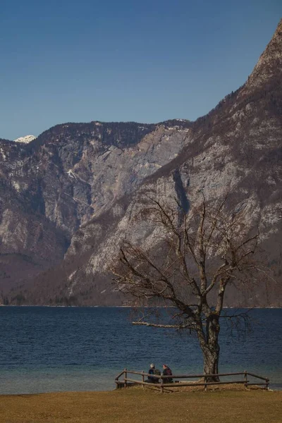 Tiro Vertical Casal Sentado Margem Lago Bohinj Eslovénia — Fotografia de Stock