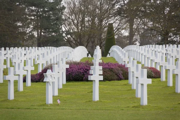 Den Normandiet Amerikanske Kirkegård Med Hvide Kors Til Minde Faldne - Stock-foto
