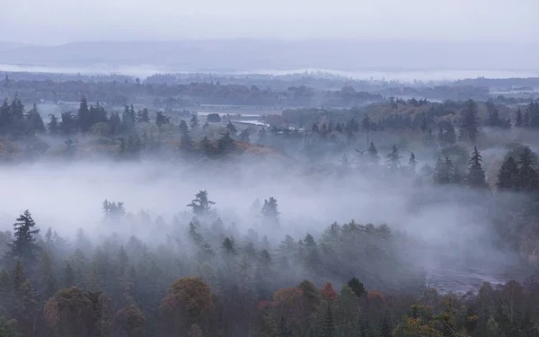 秋のバーナム ヒル近くのストレイテの木の周りに流れる霧の密な反転層 — ストック写真