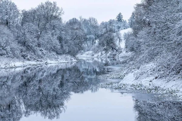 Litvanya Kar Beyazı Bir Ormanda Donmuş Bir Göl — Stok fotoğraf