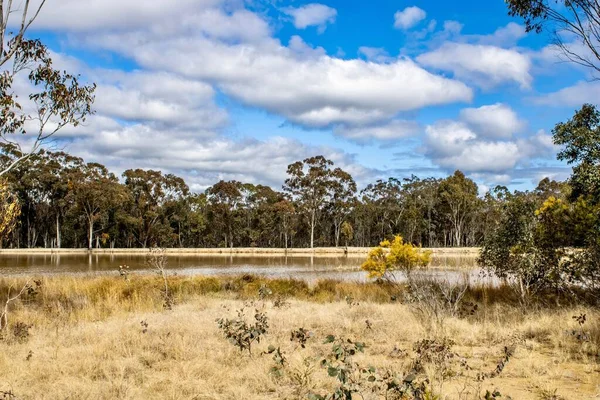 オーストラリア ニューサウスウェールズ州エマビルの農村部の乾燥したブッシュランドと湿地 — ストック写真