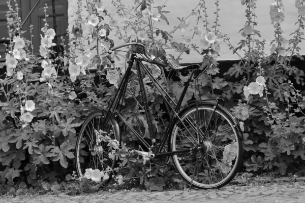 Piękny Widok Rower Pobliżu Krzaka Kwiatami Skali Szarości — Zdjęcie stockowe