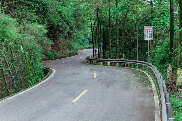 Uma Vista Panorâmica Uma Estrada Aberta Rodeada Por Uma Floresta — Fotografia de Stock