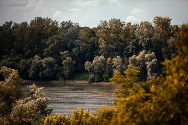 Belle Vue Paysage Petit Étang Avec Des Arbres Verts Luxuriants — Photo