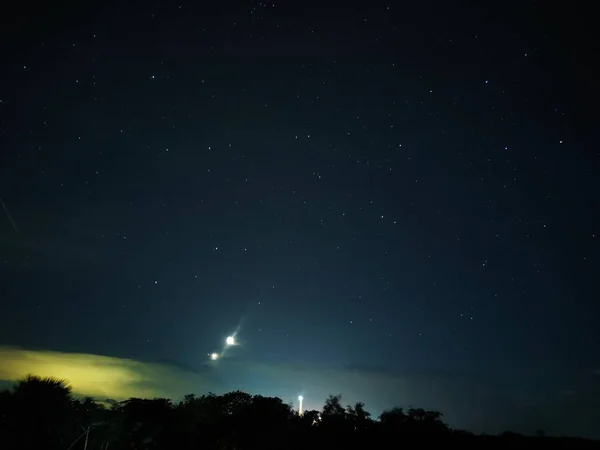 輝く星と青い天の下の木のシルエット — ストック写真