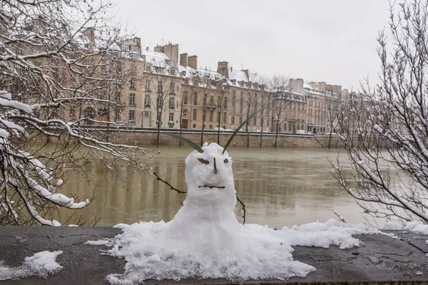 París Bajo Nieve Las Inundaciones Muelles Inundados Árboles Bajo Agua — Foto de Stock