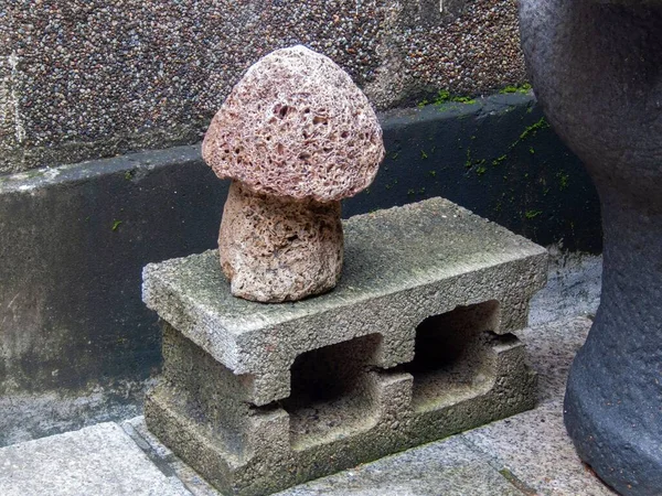 Ein Pilzförmiger Stein Auf Einem Betonklotz — Stockfoto