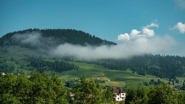 Eine Hochlandlandschaft Aus Tannen Und Bergen Einem Sonnigen Tag — Stockfoto