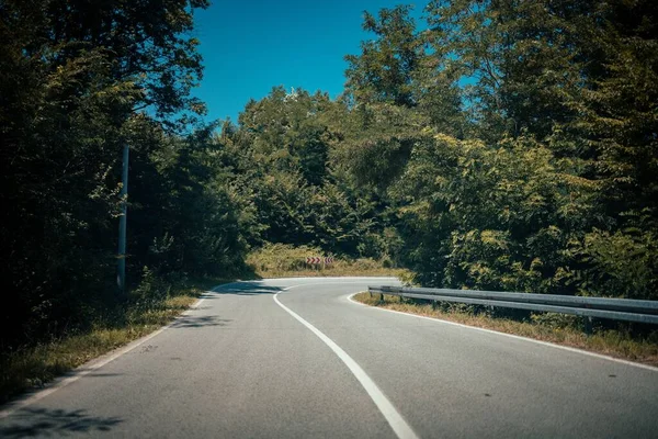 Uma Longa Estrada Com Árvores Cada Lado — Fotografia de Stock