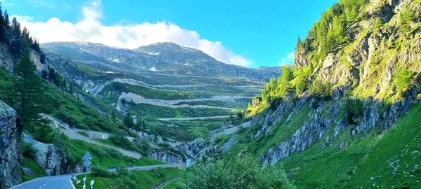 Uma Bela Vista Uma Paisagem Montanha Verde Com Árvores Estrada — Fotografia de Stock