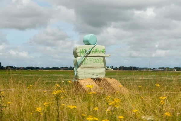 Goeree Overflakkee Netherlands August 2022 Farmers Protest Stricter Environmental Laws — Stock Photo, Image