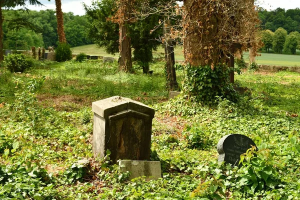 Вид Старое Кладбище Окруженное Переросшими Растениями Гут Граухофе Госларе Германия — стоковое фото