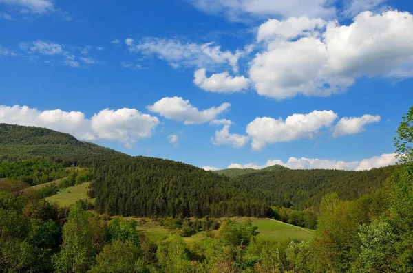 Захватывающий Вид Зеленые Горы Над Зелеными Полями Голубым Облачным Небом — стоковое фото