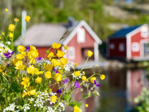 A closeup of beautiful flowers in a garden with a house in a blurred background