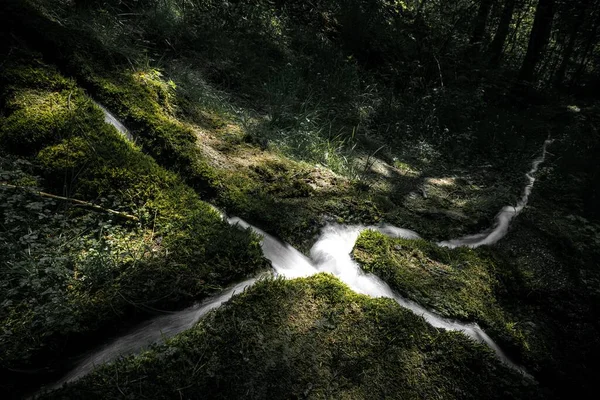 Liten Bäck Skogen — Stockfoto