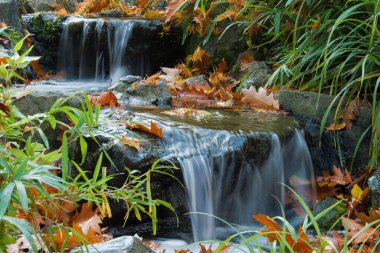 Düşen yapraklarla küçük bir derenin yakın çekimi.