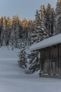 Karlı bir yüzeydeki ahşap kulübe. Arkası karla kaplı çam ağaçları.