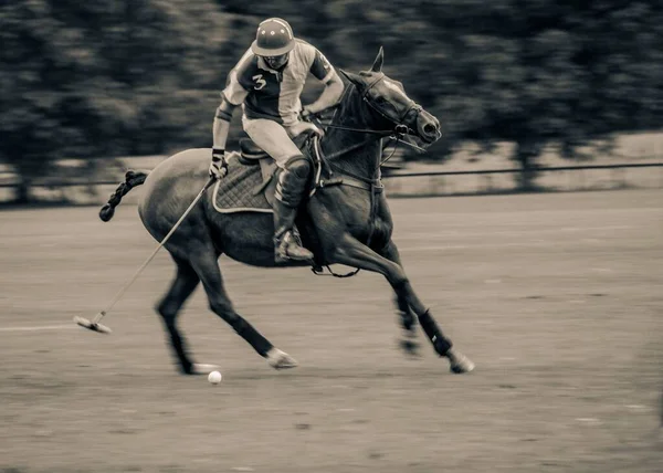 Una Modifica Stilizzata Giocatore Polo Metà Partita Durante Groundsman Cup — Foto Stock