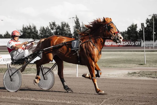 Harness Racing Oulu Finland Equestrian Sports — Stock Photo, Image