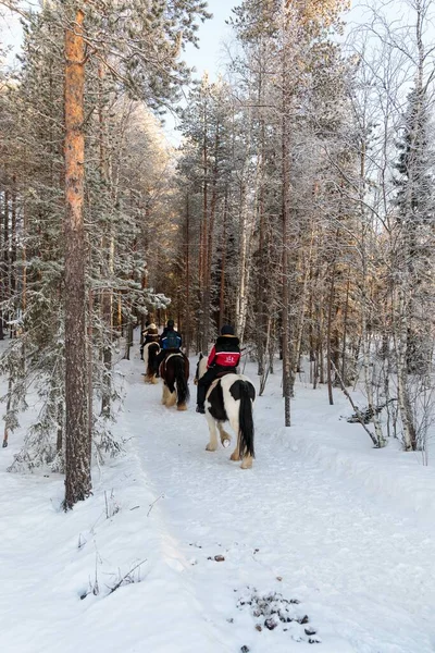 Promenade Cheval Dans Forêt Finlande — Photo