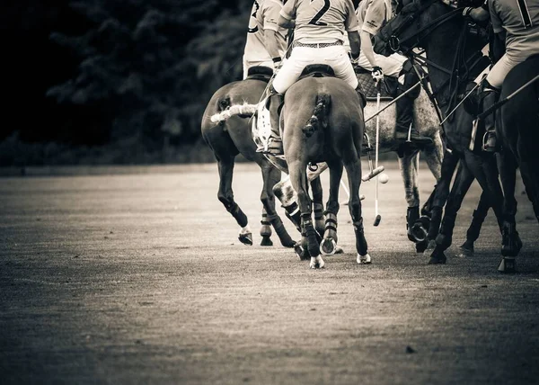 キルトリントン公園でのポロの試合からボールを競う選手たちのバックビュー — ストック写真