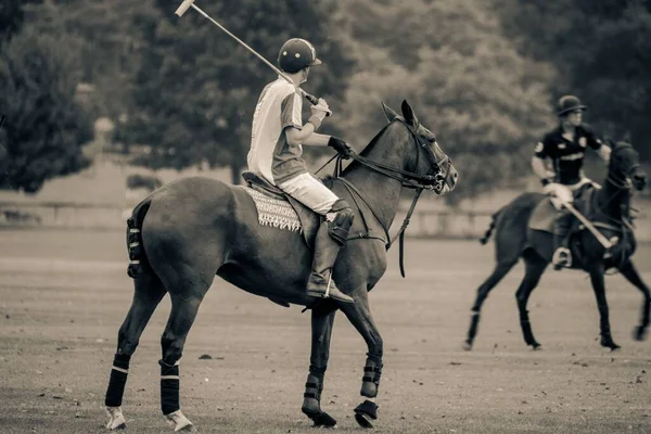 Montage Stylisé Joueurs Polo Milieu Partie Lors Groundsman Cup Kirtlington — Photo