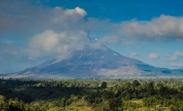 Ein Malerischer Blick Auf Einen Berg Mit Einem Immergrünen Feld — Stockfoto