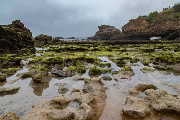 Красивый Вид Геологические Образования Возле Пляжа Пасмурный День Биарре Франция — стоковое фото