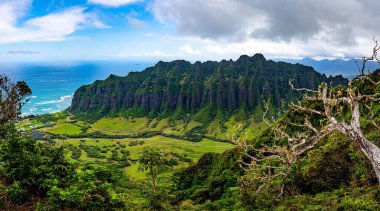 Hawaii, Oahu 'daki Kualoa Çiftliği' nde Jurassic Park 'ın çekildiği vadi ve sıradağların muhteşem manzarası.