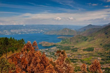 Sonbaharda ağaçlı bir yamacın havadan görünüşü.