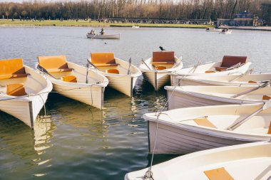 Parkta göl kıyısında birbirine bağlanmış küçük teknelerin yakın plan çekimi.