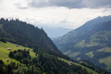 Bulutlu gökyüzünün altındaki ağaçlı yeşil dağ yamaçlarının manzarası.