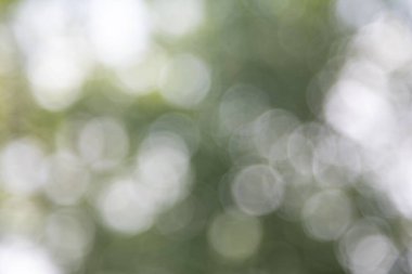 Lensler, bulanık bokeh ışıkları web tasarımı, arkaplan, kompozisyonlar ve örtüler için yeşile bokeh ışıkları