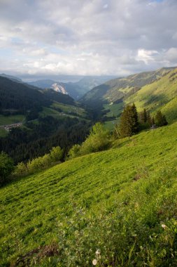 Bulutlu gökyüzünün altındaki vadinin yeşil yamaçlarının dikey görüntüsü.