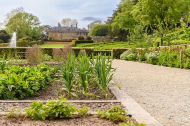 Gündüz vakti farklı bitkilerle dolu güzel bir park.