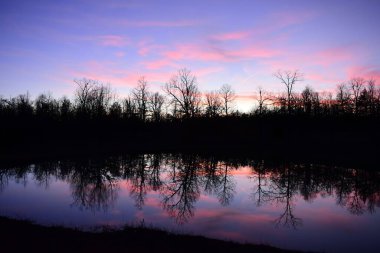 Gün batımında ağaçlarla çevrili büyüleyici bir gölet manzarası.