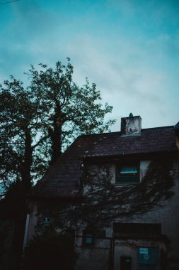 Akşamüstü gökyüzünün altındaki yüksek ağaçların yanında eski bir evin dikey yakın çekimi.