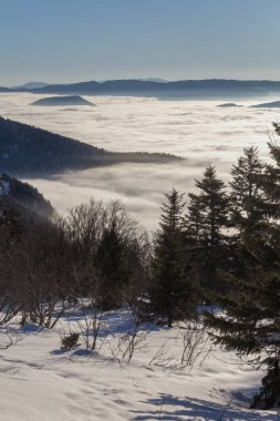 Kış boyunca karla kaplı bir dağ kayası ve ağaçlar.
