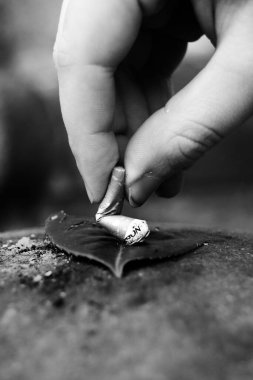 Bir yaprağın üzerine sigara koyan kişinin gri tonlu görüntüsü, zararlı sigara etkisi kavramı